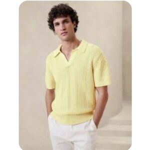 Banana Republic GIORGIO LINEN-COTTON SWEATER POLO XL Chilled Lime Green Knit
